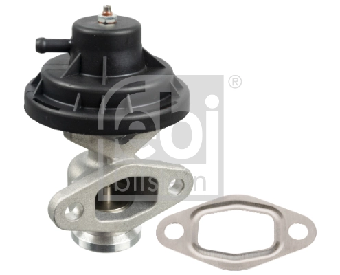 EGR Valve